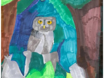 Wyniki konkursu Portret sowy, 